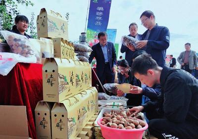 線上線下銷售火爆，食品消費新趨勢解讀