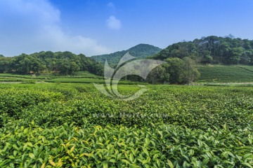 農副產品圖片素材下載 助力零售百貨行業營銷升級