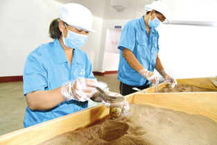 堅定信心迎難而上，以食品銷售為支點決戰決勝脫貧攻堅