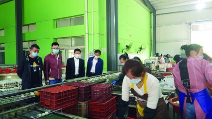 大冶市畜牧獸醫局 當好“服務員”，助力涉牧企業復產增效，保障食品銷售安全順暢